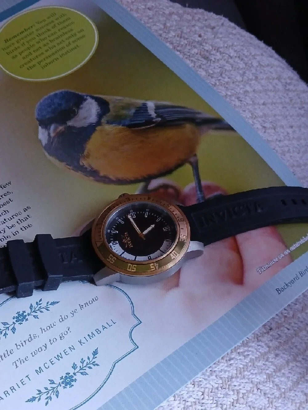 Invicta Black Strap Watch with Gold Bezel and Blue Dial